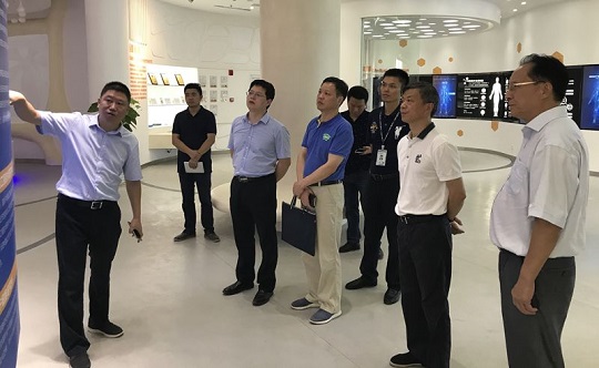 1534495607151350.jpg 7.jpg