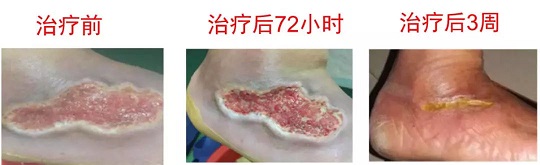 1536212504132705.jpg 4.jpg