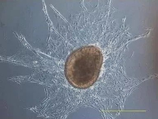 1540174814127934.jpg 5.jpg