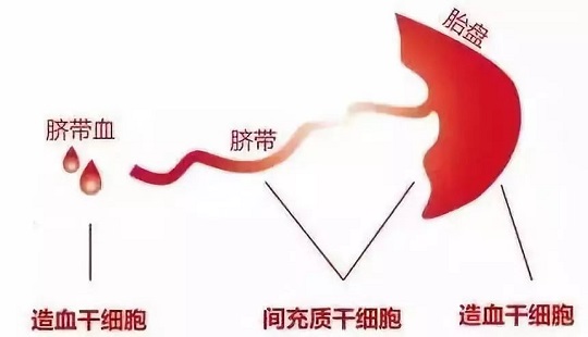 1540174847842050.jpg 6.jpg