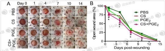 1540949792202230.jpg 漢氏聯(lián)合研究成果