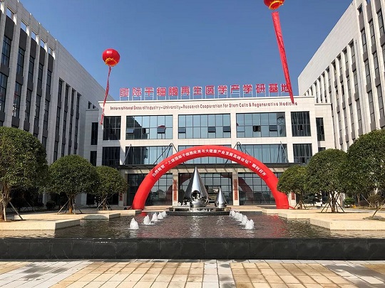 1543199058146127.jpg 6.jpg