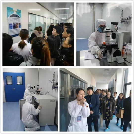 1543199097128203.jpg 7.jpg