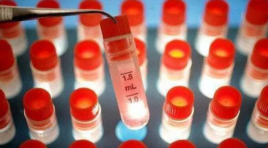 1544424868232689.png 1.png