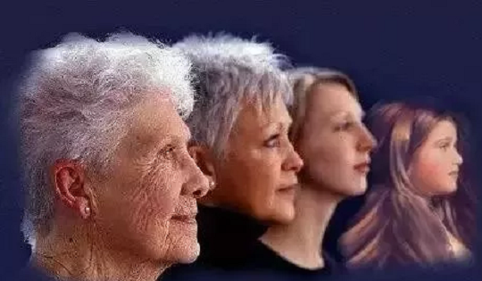 1544425011315310.png 2.png