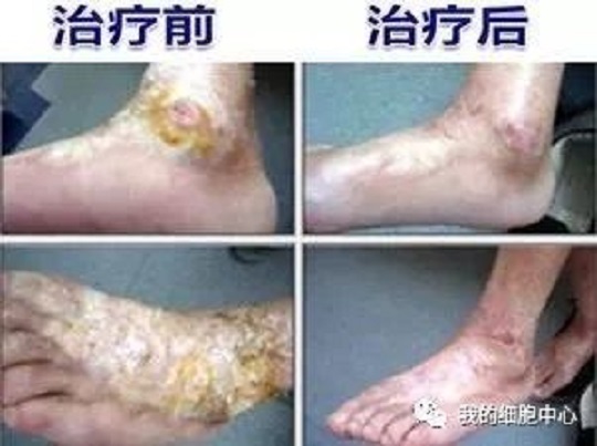 1548209037580527.jpg 6.jpg