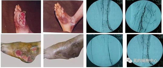 1548209051124027.jpg 7.jpg