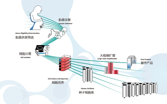 1548210561868462.jpg 2.jpg