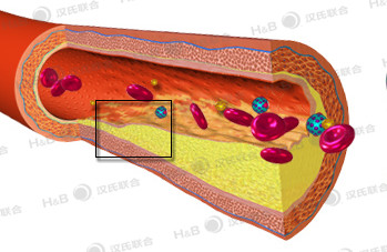 1549003621762307.jpg 1.jpg