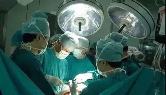 1550817178288949.jpg 5.jpg