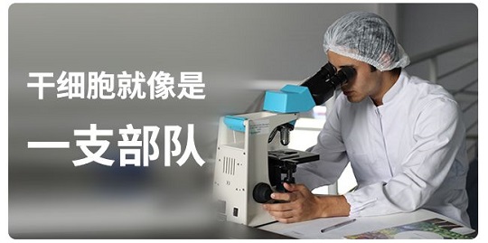 間充質(zhì)干細(xì)胞存儲(chǔ)