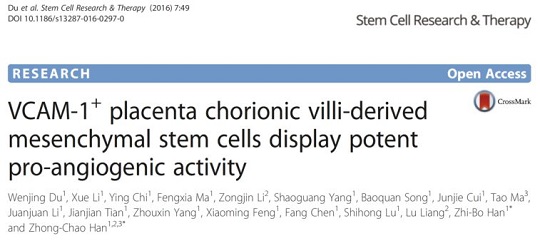 間充質(zhì)干細(xì)胞存儲(chǔ)