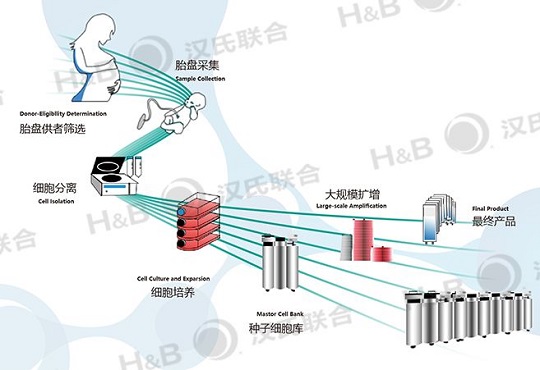 1552378928133630.jpg 4.jpg