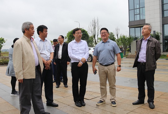 1556606169206793.jpg 3.jpg