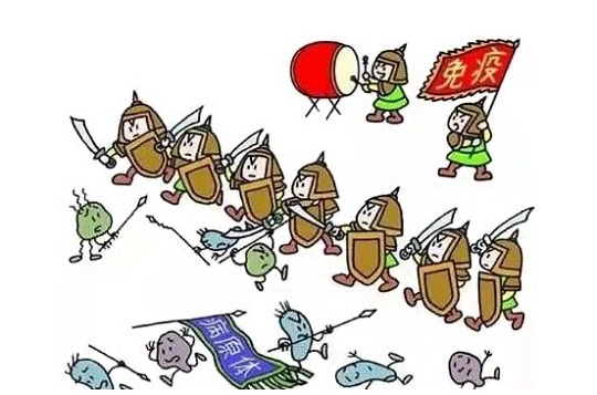 1584600720282535.jpg 1.jpg