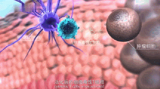 1584600777981347.gif 5.gif