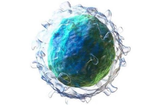 1584601055461390.jpg 4.jpg