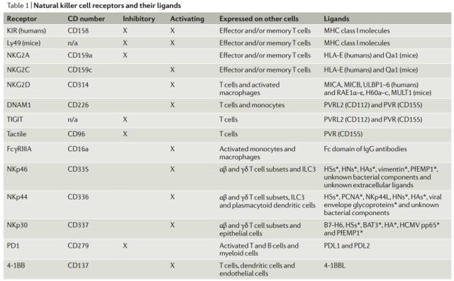 NK細(xì)胞存儲(chǔ) 免疫細(xì)胞存儲(chǔ)