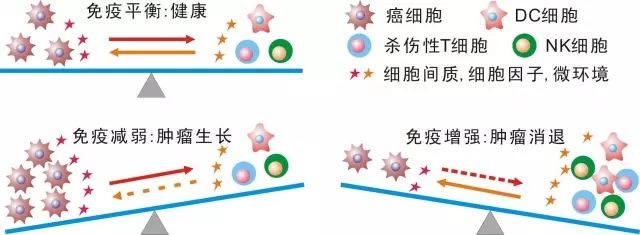 NK細(xì)胞存儲(chǔ) 免疫細(xì)胞存儲(chǔ)