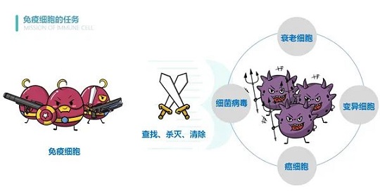 1585899238565142.jpg 3.jpg