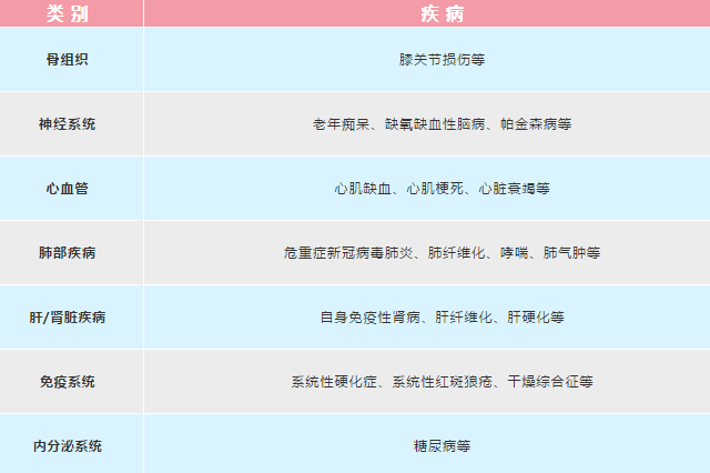 臍帶間充質(zhì)干細(xì)胞 什么是臍帶間充質(zhì)干細(xì)胞