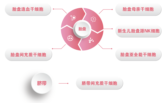 為什么存儲(chǔ)胎盤干細(xì)胞