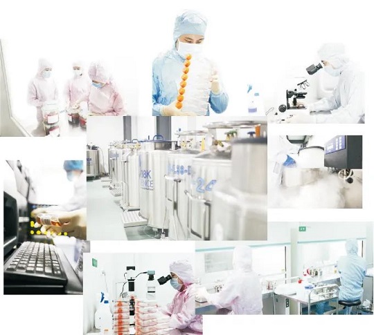 干細(xì)胞存儲(chǔ)延緩衰老 胎盤干細(xì)胞存儲(chǔ)有什么用