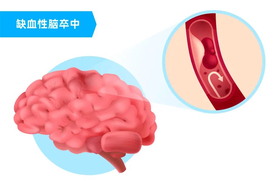 1691127746780095.jpg 1.jpg