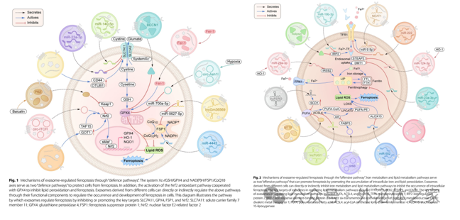 1705470883427172.png 22.png